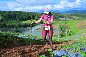 BIB: 
                            <button type="button" onclick="openModal(13381597)" class="btn btn-primary btn-sm float-right btn-popup" data-toggle="modal" data-target=".modal-high-quality">
                        <i class="fas fa-shopping-cart"></i> Add to Cart
                    </button>
                                            <button type="button" onclick="isThisMe(13381597, true)" class="btn btn-success btn-sm float-right btn-popup btn-isme hidden" data-toggle="tooltip" data-placement="bottom" title="นี่คือรูปของคุณใช่ไหม คลิกที่นี่เพื่อเอาเข้าอัลบั้ม">
                        <i class="fas fa-plus"></i> Add to album
                    </button>
                    <button type="button" onclick="isThisMe(13381597, false)" class="btn btn-warning btn-sm float-right btn-popup btn-isnotme hidden">
                        <i class="fas fa-ban"></i> Remove from album
                    </button>